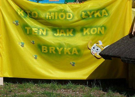"Pszczoła niejedno ma imię" - XXI Sejmik Ekologiczny w Kościerzynie grafika